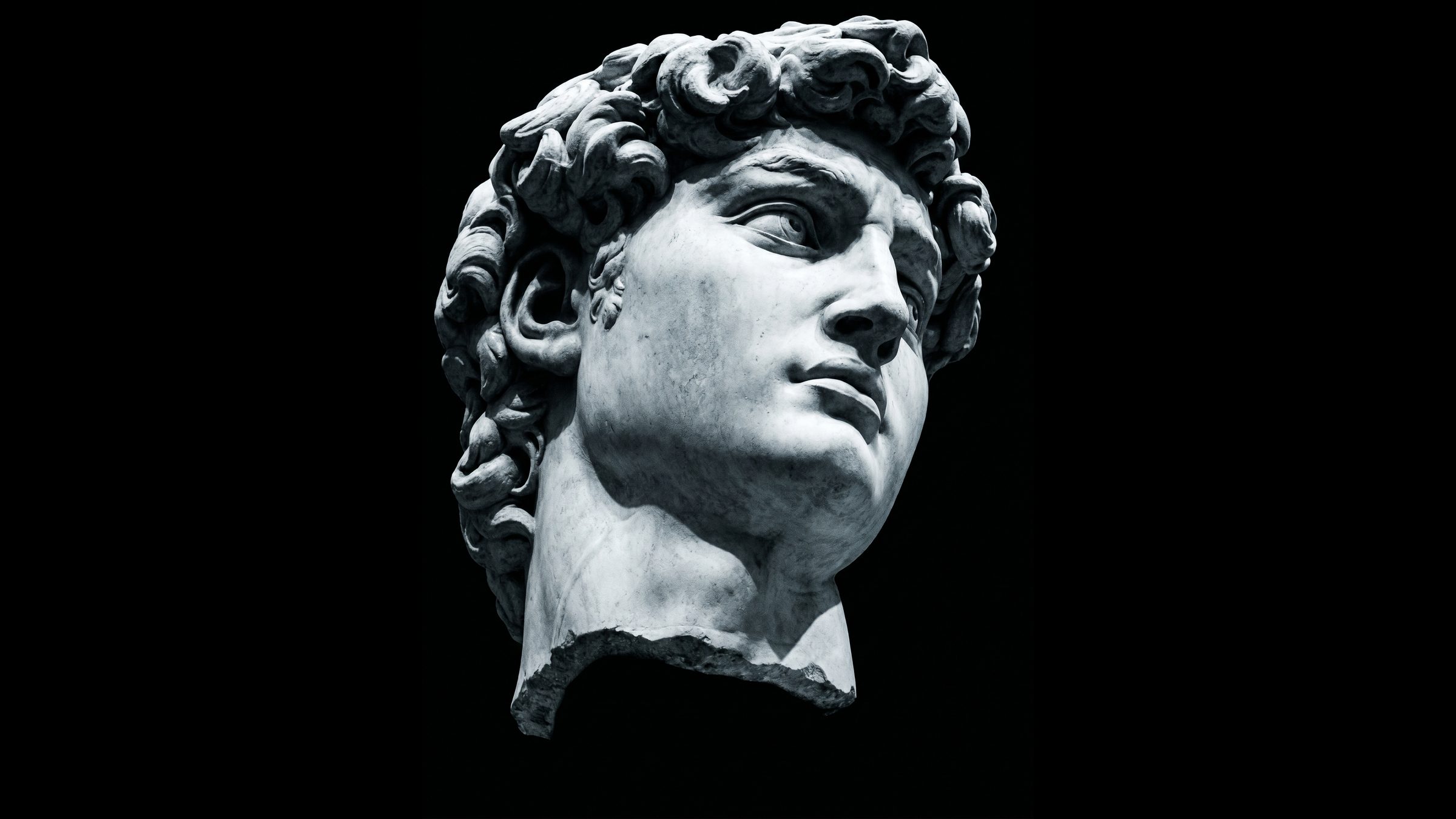 A classical marble head on a black ground, lit from one side.